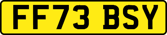 FF73BSY