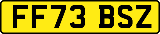 FF73BSZ