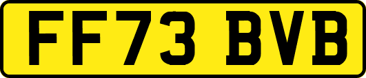 FF73BVB