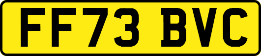 FF73BVC