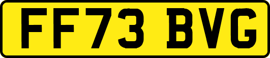 FF73BVG
