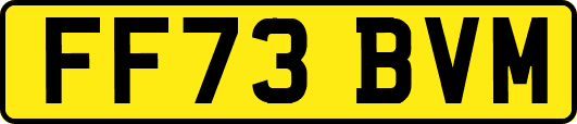 FF73BVM