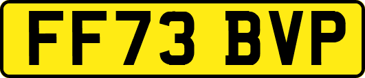 FF73BVP