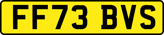 FF73BVS