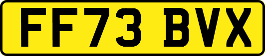 FF73BVX