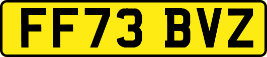 FF73BVZ