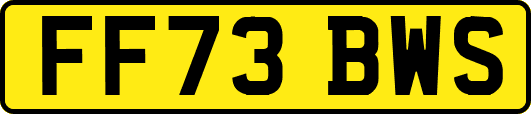FF73BWS