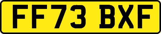 FF73BXF
