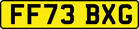 FF73BXG