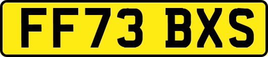FF73BXS