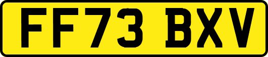 FF73BXV