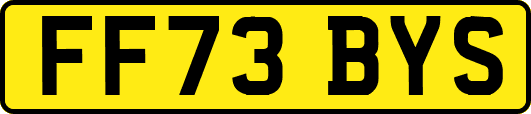 FF73BYS