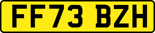 FF73BZH