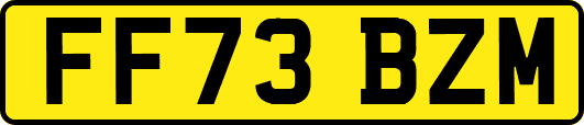FF73BZM