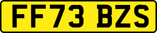 FF73BZS