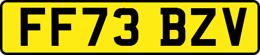 FF73BZV