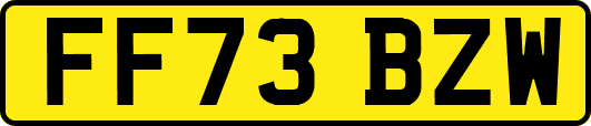 FF73BZW
