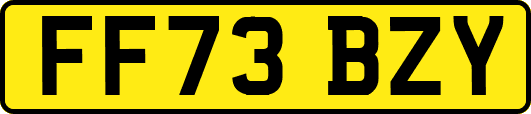 FF73BZY
