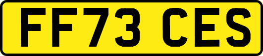 FF73CES