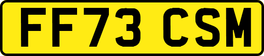 FF73CSM
