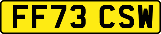 FF73CSW