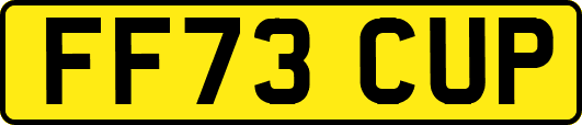 FF73CUP