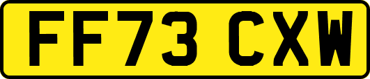 FF73CXW