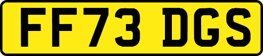 FF73DGS