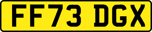 FF73DGX
