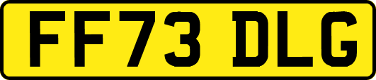 FF73DLG