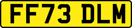FF73DLM