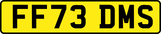 FF73DMS