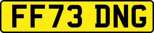 FF73DNG