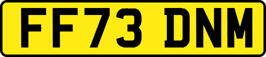 FF73DNM