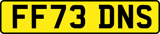 FF73DNS