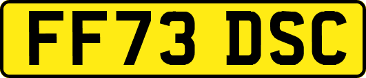 FF73DSC
