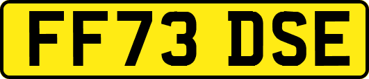 FF73DSE