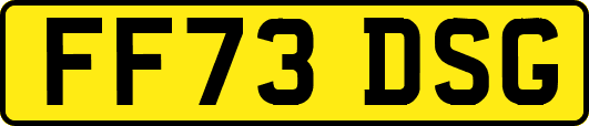 FF73DSG