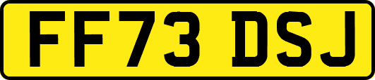FF73DSJ
