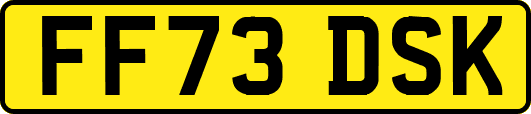 FF73DSK
