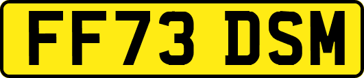 FF73DSM