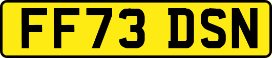 FF73DSN