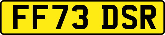 FF73DSR