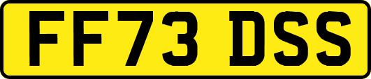 FF73DSS