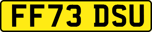 FF73DSU