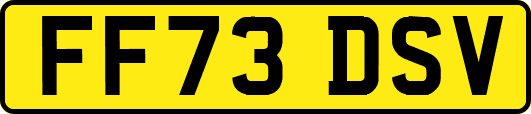 FF73DSV
