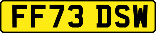 FF73DSW