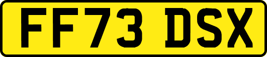 FF73DSX