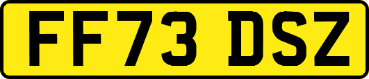 FF73DSZ