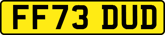 FF73DUD